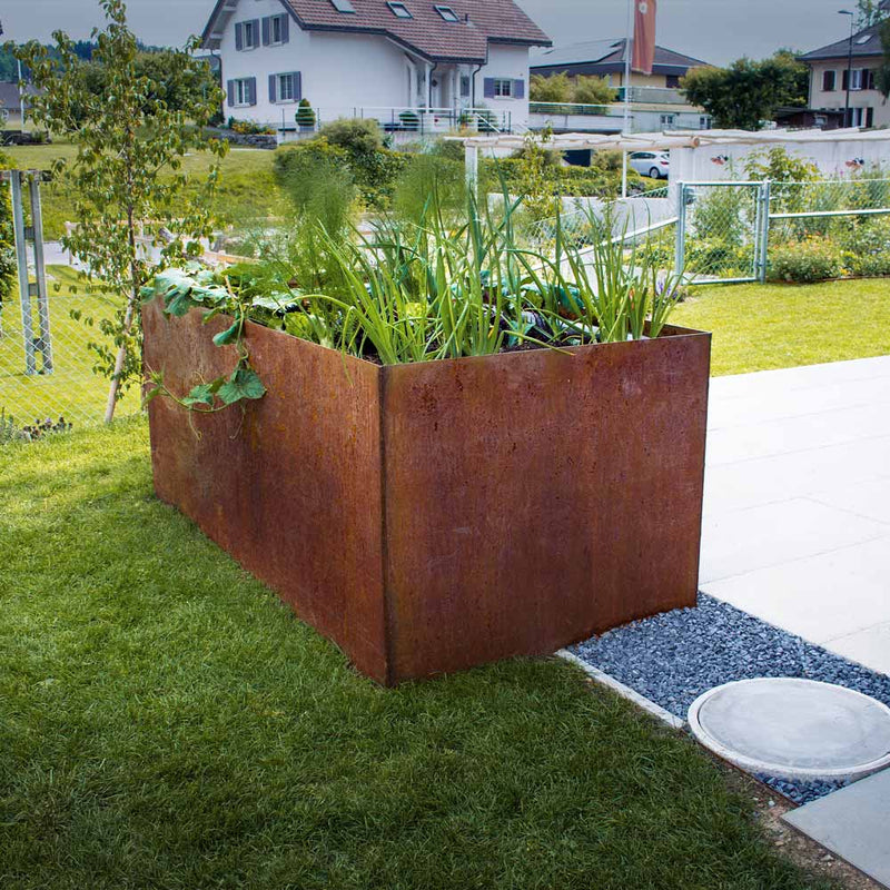 Raised bed 250x80x80cm, stainless steel