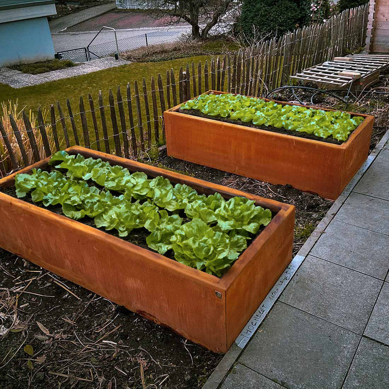 Raised bed 