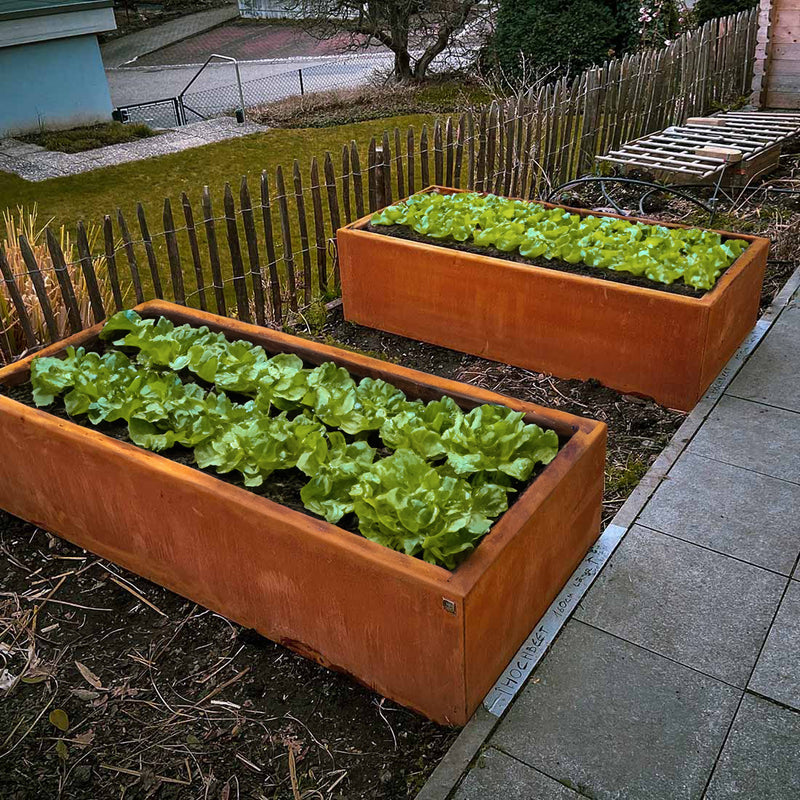 Metal raised bed 