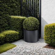 Black plant pot