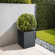 Plant pot square black